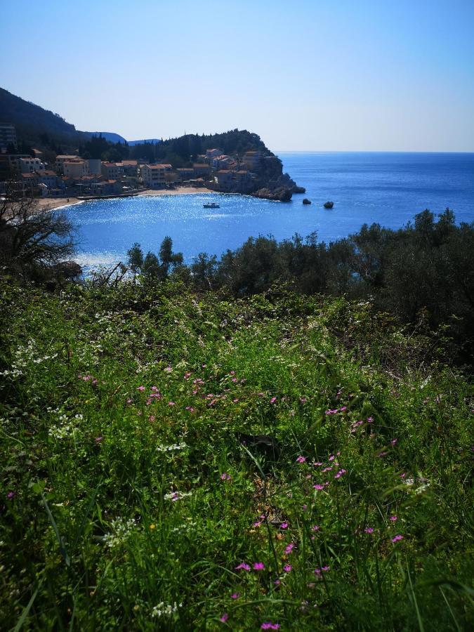 Apartamento Langust - Free Parking Sveti Stefan Exterior foto